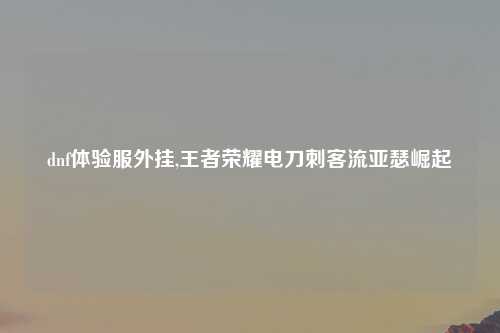 dnf体验服外挂,王者荣耀电刀刺客流亚瑟崛起