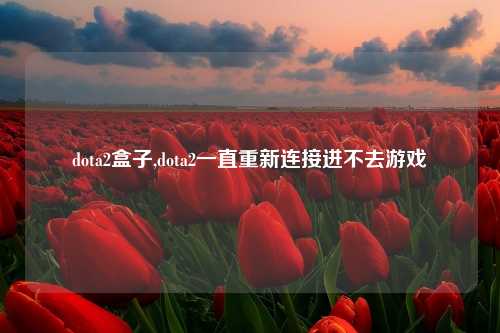 dota2盒子,dota2一直重新连接进不去游戏