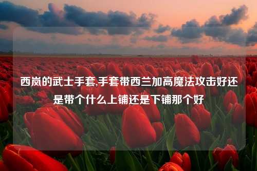 西岚的武士手套,手套带西兰加高魔法攻击好还是带个什么上铺还是下铺那个好