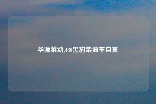 华源莱动,480黑豹柴油车自重
