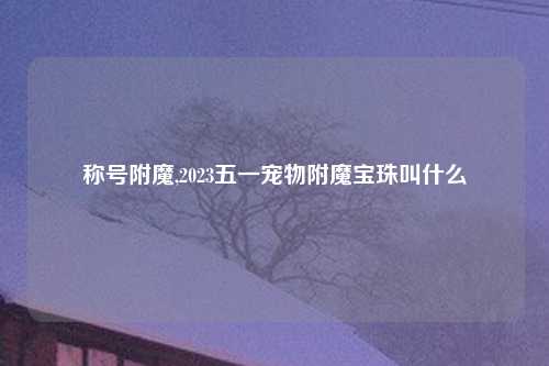 称号附魔,2023五一宠物附魔宝珠叫什么