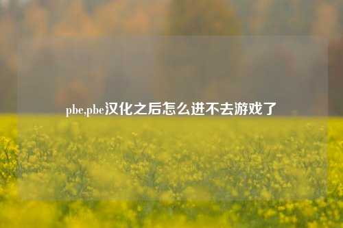 pbe,pbe汉化之后怎么进不去游戏了