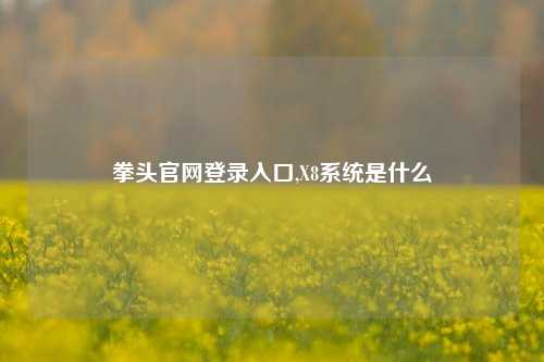 拳头官网登录入口,X8系统是什么