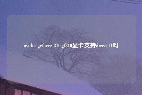 nvidia geforce 310,gf310显卡支持direct11吗