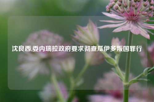 沈良西,委内瑞拉政府要求彻查瓜伊多叛国罪行
