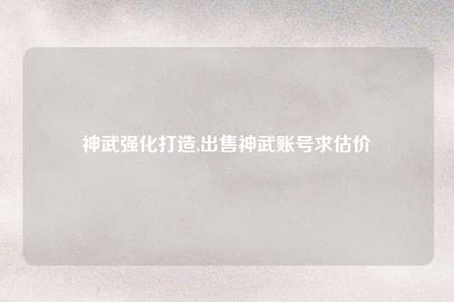 神武强化打造,出售神武账号求估价