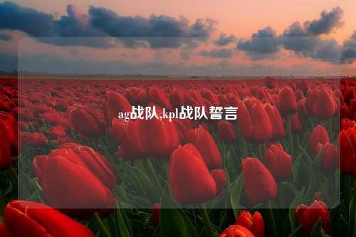 ag战队,kpl战队誓言
