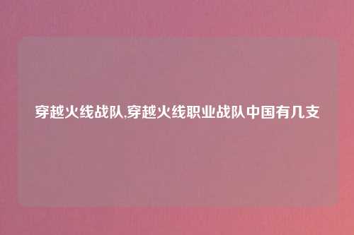 穿越火线战队,穿越火线职业战队中国有几支