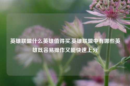 英雄联盟什么英雄值得买,英雄联盟中有哪些英雄既容易操作又能快速上分