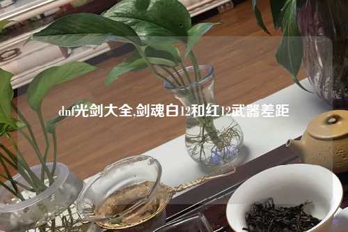 dnf光剑大全,剑魂白12和红12武器差距