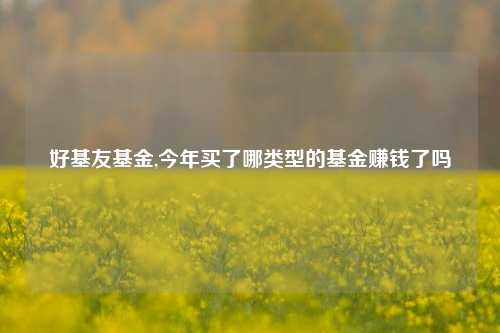 好基友基金,今年买了哪类型的基金赚钱了吗