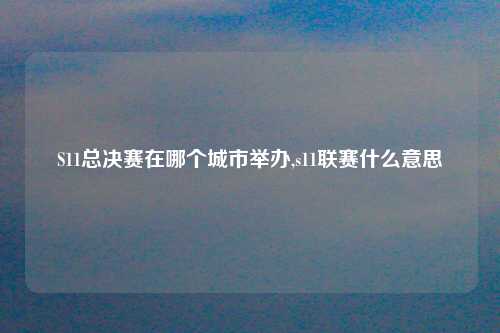 S11总决赛在哪个城市举办,s11联赛什么意思