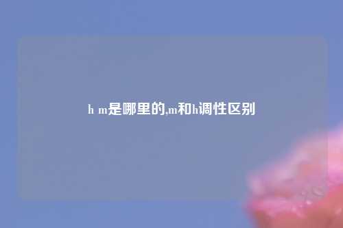 h m是哪里的,m和h调性区别