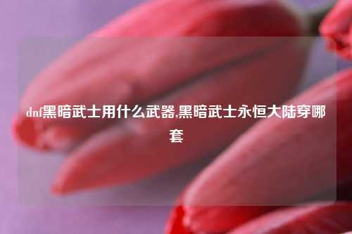 dnf黑暗武士用什么武器,黑暗武士永恒大陆穿哪套