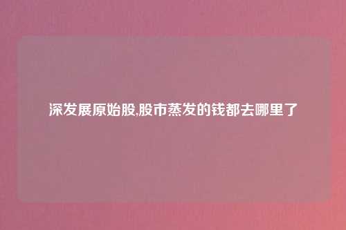 深发展原始股,股市蒸发的钱都去哪里了