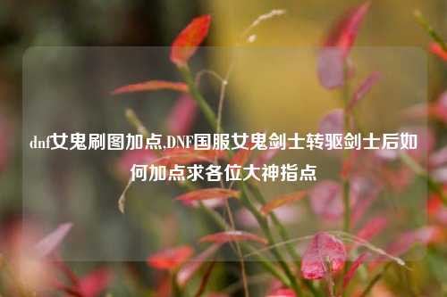 dnf女鬼刷图加点,DNF国服女鬼剑士转驱剑士后如何加点求各位大神指点