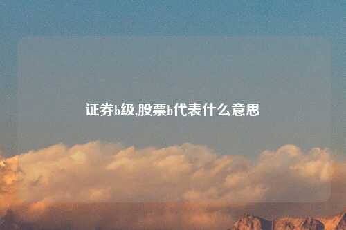 证券b级,股票b代表什么意思