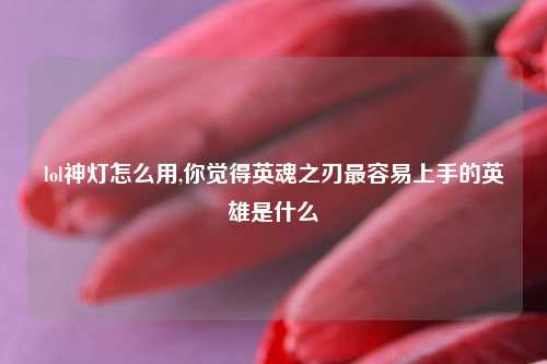lol神灯怎么用,你觉得英魂之刃最容易上手的英雄是什么