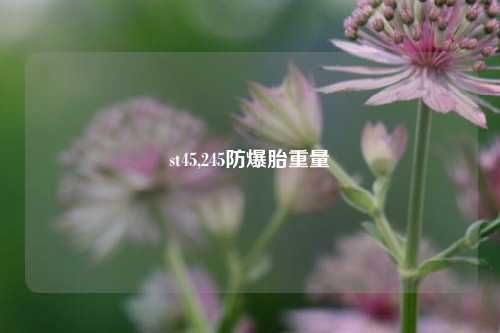 st45,245防爆胎重量