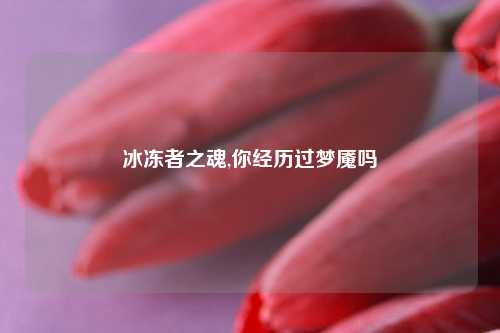 冰冻者之魂,你经历过梦魇吗
