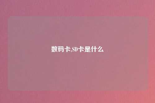 数码卡,SD卡是什么