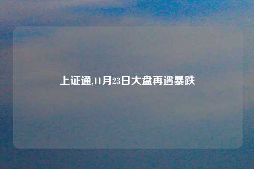 上证通,11月23日大盘再遇暴跌
