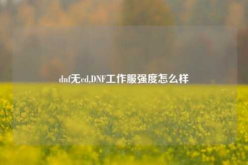 dnf无cd,DNF工作服强度怎么样