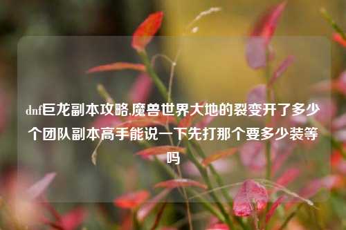dnf巨龙副本攻略,魔兽世界大地的裂变开了多少个团队副本高手能说一下先打那个要多少装等吗
