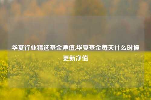 华夏行业精选基金净值,华夏基金每天什么时候更新净值