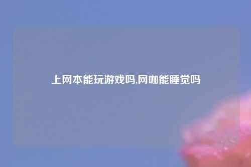 上网本能玩游戏吗,网咖能睡觉吗