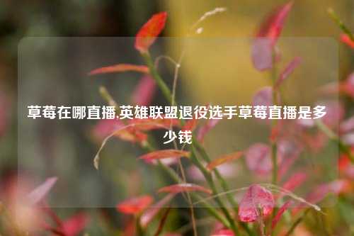草莓在哪直播,英雄联盟退役选手草莓直播是多少钱