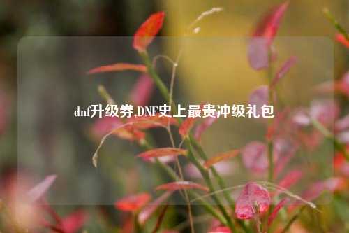 dnf升级券,DNF史上最贵冲级礼包