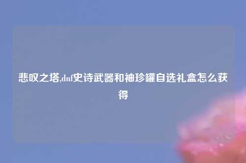 悲叹之塔,dnf史诗武器和袖珍罐自选礼盒怎么获得