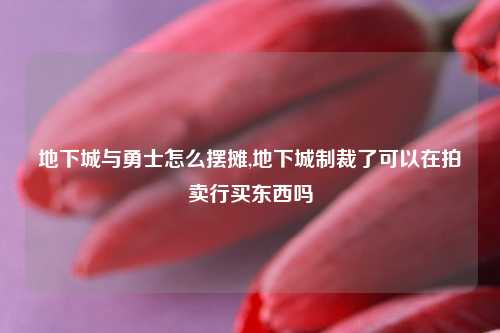 地下城与勇士怎么摆摊,地下城制裁了可以在拍卖行买东西吗