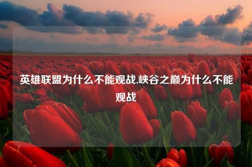 英雄联盟为什么不能观战,峡谷之巅为什么不能观战