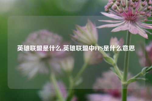英雄联盟是什么,英雄联盟中FPS是什么意思
