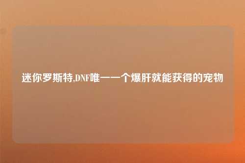 迷你罗斯特,DNF唯一一个爆肝就能获得的宠物