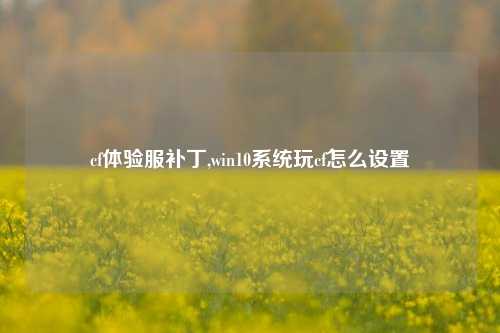cf体验服补丁,win10系统玩cf怎么设置