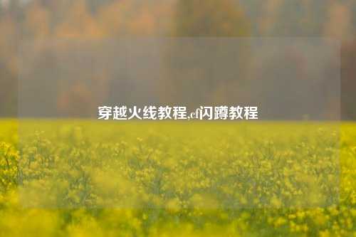 穿越火线教程,cf闪蹲教程