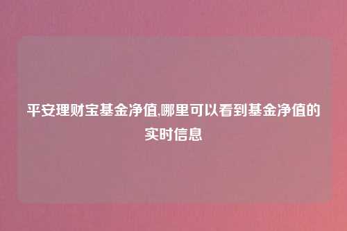 平安理财宝基金净值,哪里可以看到基金净值的实时信息