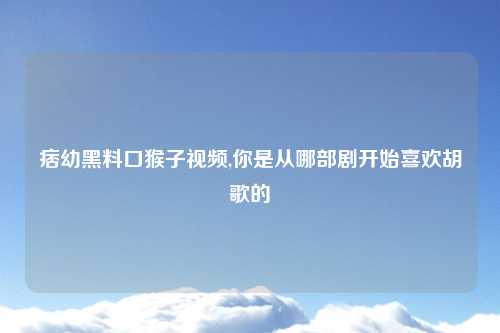 痞幼黑料口猴子视频,你是从哪部剧开始喜欢胡歌的