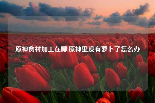 原神食材加工在哪,原神里没有萝卜了怎么办
