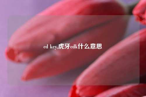 cd key,虎牙cdk什么意思