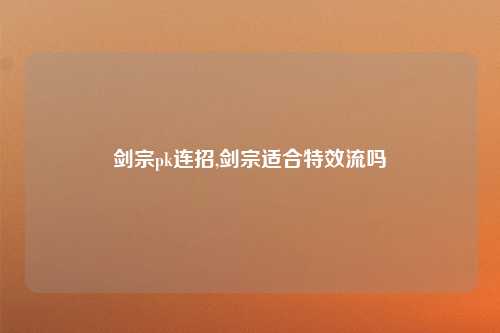 剑宗pk连招,剑宗适合特效流吗