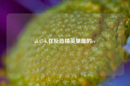 ak47-b,在反恐精英里匪的cv