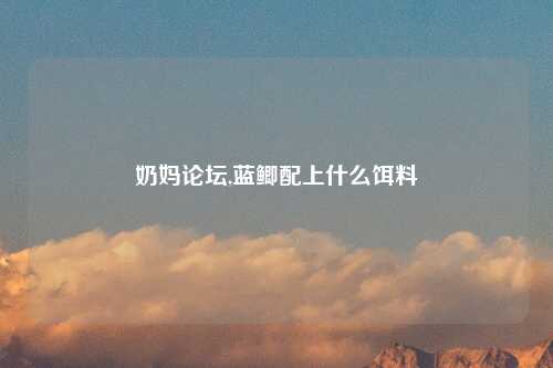 奶妈论坛,蓝鲫配上什么饵料
