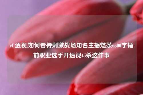 cf 透视,如何看待刺激战场知名主播燃茶6500字锤前职业选手开透视45杀这件事