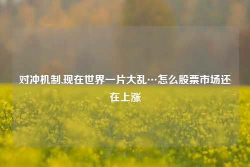 对冲机制,现在世界一片大乱…怎么股票市场还在上涨