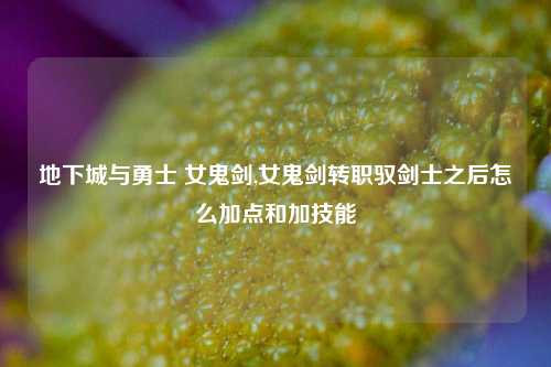 地下城与勇士 女鬼剑,女鬼剑转职驭剑士之后怎么加点和加技能