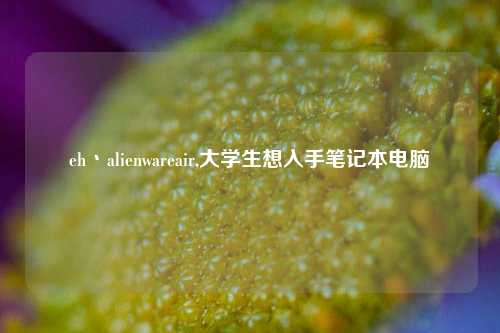eh丶alienwareair,大学生想入手笔记本电脑